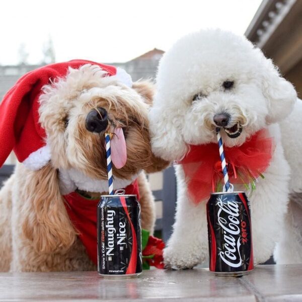 Coca-Cola scales UGC across 9 brands